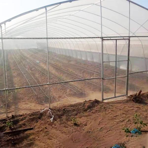 Vegetable Growing Tunnel Multi Span Greenhouse Plastic Film Material