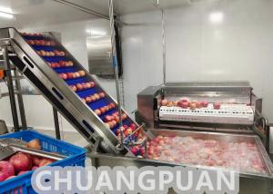 China Industrial Turn Key HPP Apple Juice Production Line wholesale