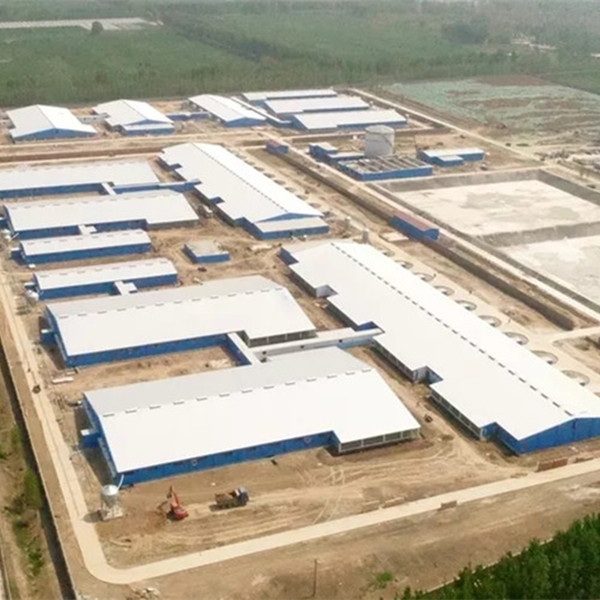 China Lightweight Steel Structure Pig House Galvanized Prefab Agricultural Buildings on sale