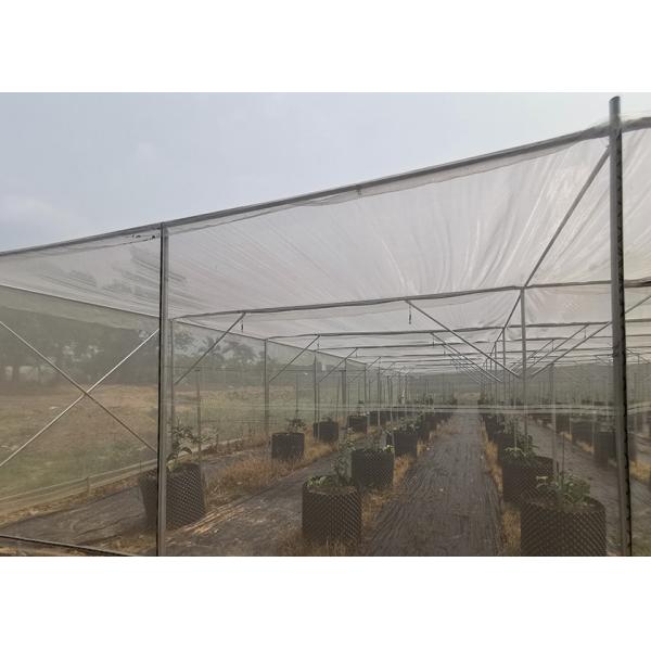 Strong Frame Metal Frame Greenhouse For Potted Flower Cultivation