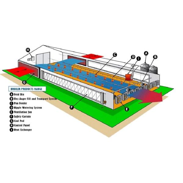 Galvanized Poultry Light Steel Frame Construction Bolts Connection Steel Chicken House