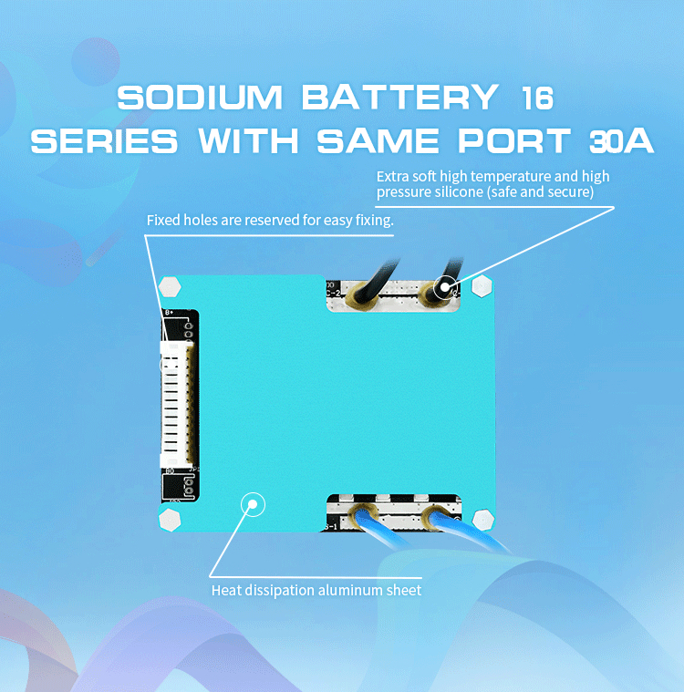 OEM Li-Ion Lifepo4 NMC Sodium Ion Battery BMS 6S - 16S 20A - 60A With Balance