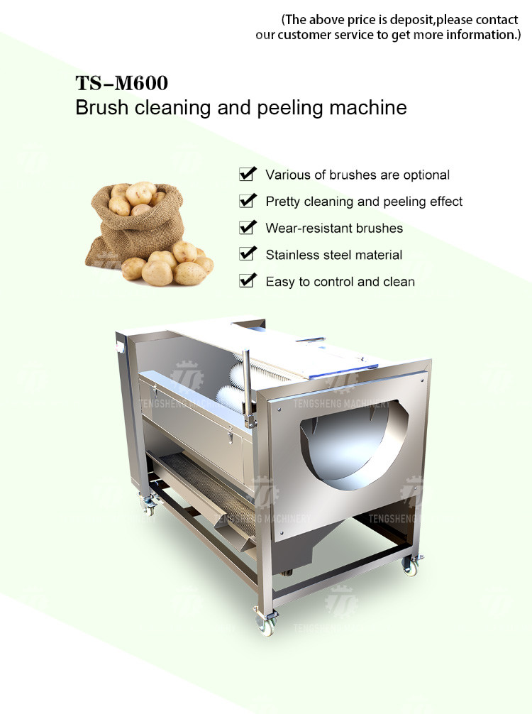 Hair Stick Peeling Cleaning Machine Brush Type Ginger Cleaning Machine for Potato