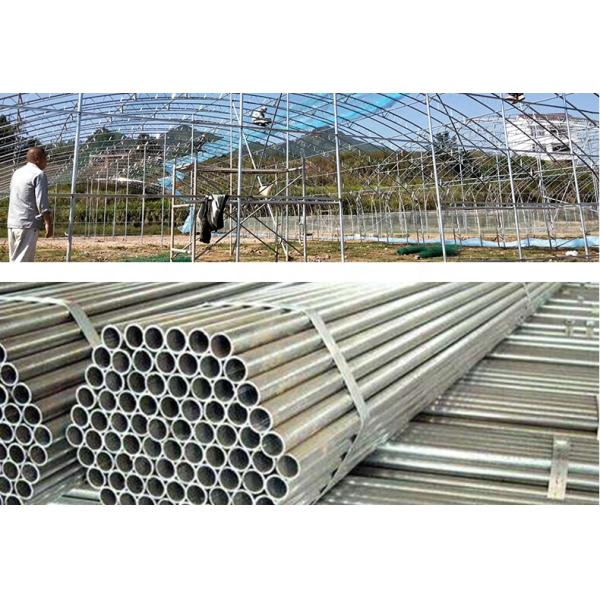 Customized Multi-span Vegetable Grow Tunnel Greenhouse for Vegetable Cultivation