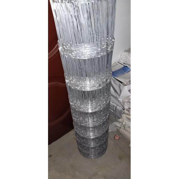 Hot Dipped Galvanized Hinge Joint Fencing For Animals Feeding