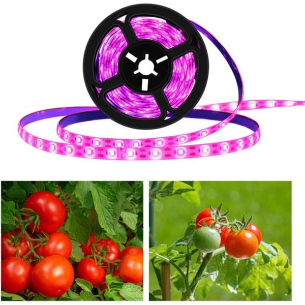 5V PLANT LED Grow Light Strips,Waterproof Full Spectrum Plant Grow Light, USB 16ft 300LEDs