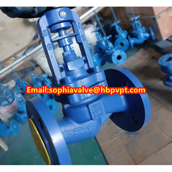 DN25-DN80 PN16 GG25 DIN bellows globe valve