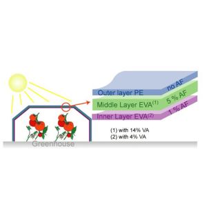 200micron PE Material Greenhouse Plastic Roll UV Protection Customized Length