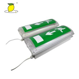 China Rechargeable Bulkhead LED Emergency Light Multiple Functional With Battery Backup wholesale