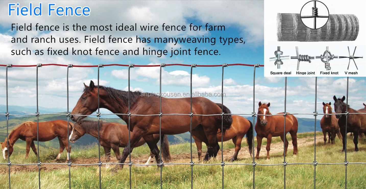 Pressure Treated Timbers Chicken Fencing for Chicken Coops in Commercial Chicken Farms