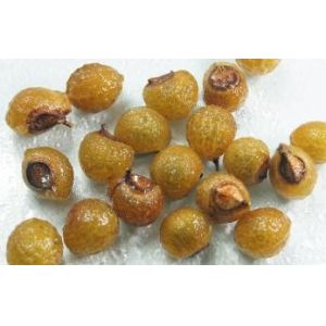 100% natural Soap Nut Extract Sapindussaponin 40% natural surfactant washing