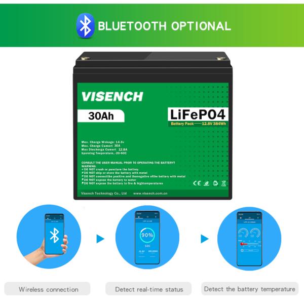 Visench 12V 30Ah Lithium Ion Iron Phosphate Battery Rechargeable 12.8V Lifepo4 Battery Pack