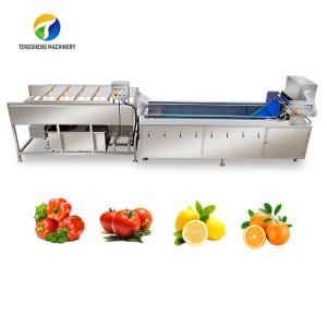 China SS 380V Industrial Vegetable And Fruit Washing Machine wholesale