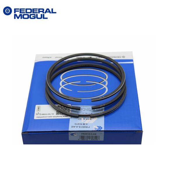 6738-31-2031 6BT 6D102 Diesel Engine Piston Ring For Komatsu Excavator