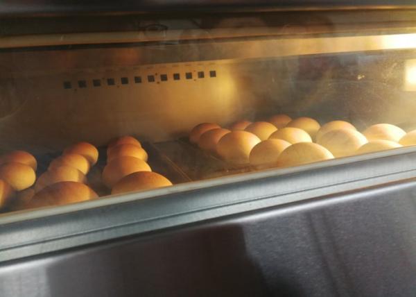 Quality 12kw Gas Bakery Deck Oven Electric Steam Stone Double Deck Four Trays for sale