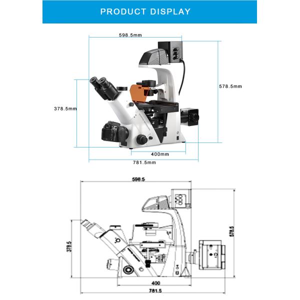 Trinocular Inverted Biological Microscope Epi Fluorescence Biological Phase Contrast Microscope