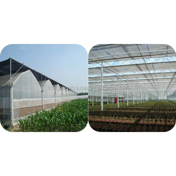 Large Transparent Plastic Film Multi-Span Greenhouse Grow Tent Transparent and Durable