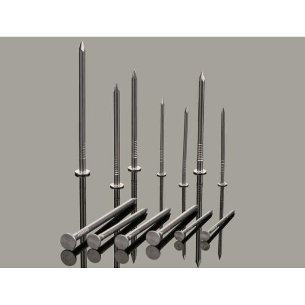 2.8X30MM Flat Head A2 Stainless Steel Nails With Smooth Shank