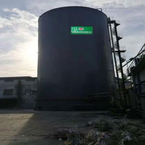 CSTR Anaerobic Digester Anaerobic Digestion Equipment Wastewater Treatment