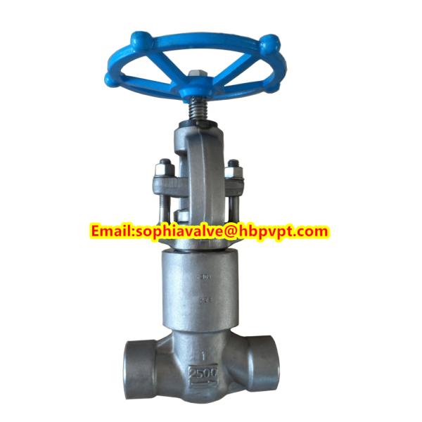 ANSI forged stainless steel globe valve