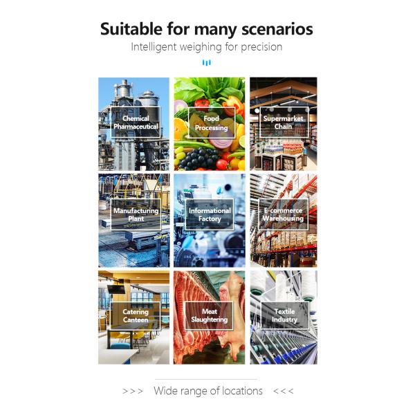 SH2100-A8P Printing Table Scale 600*800 with AC/DC Power Supply and High Accuracy Size