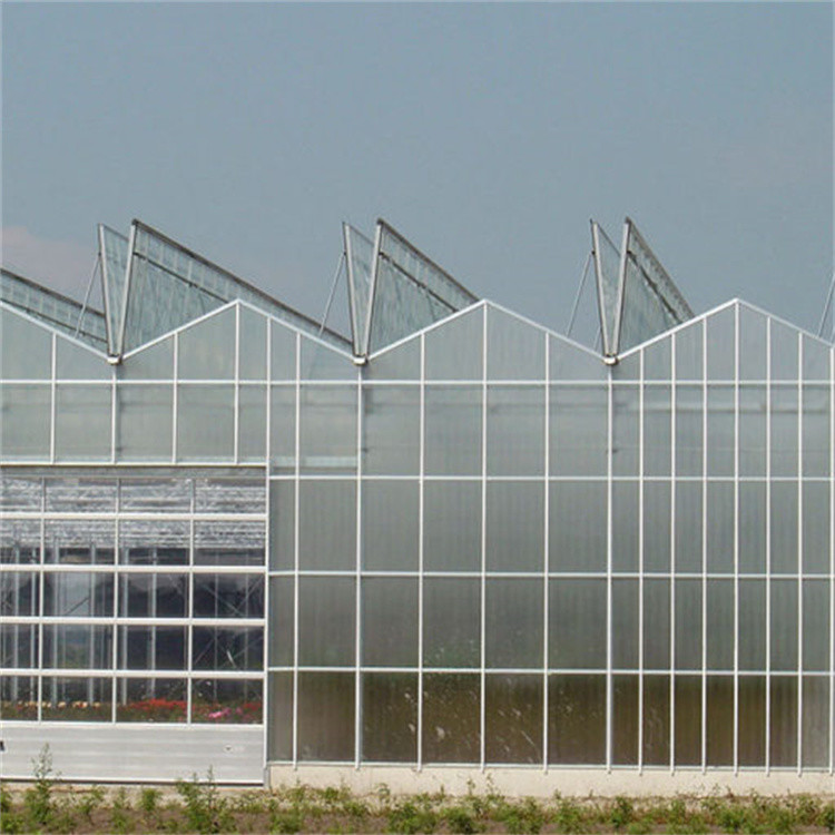 Customizable High Durability Multispan Greenhouse Rain Resistant