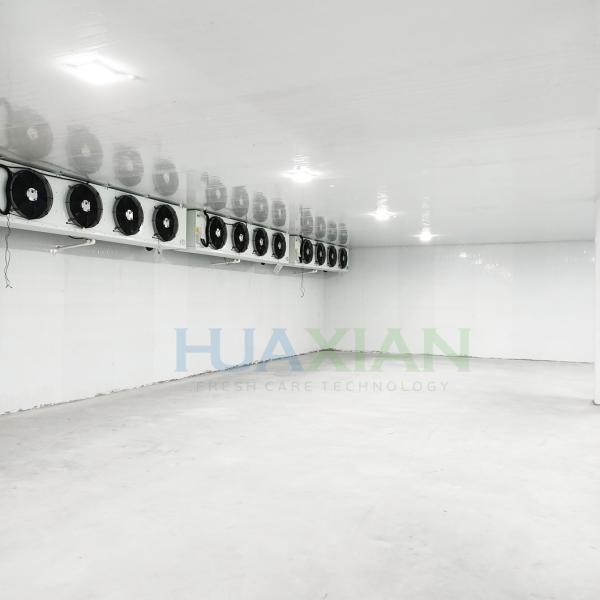 China Poultry Factory Refrigerated Copeland Cold Storage Room for Sale