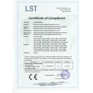 Shenzhen Guohui Lighting Equipment Co., Ltd. Certifications