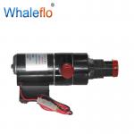 Whaleflo 49LPM 12v 24v dc Sewage Pump Price Pakistan Diaphragm Water Supplier