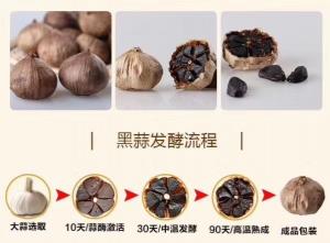 China New Arrival SAC 0.1% Ferment Black Garlic Extract powder wholesale