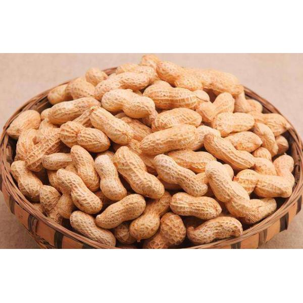 OU KOSHER Non Fried Snacks roasted Cracker Healthy Nut Snacks