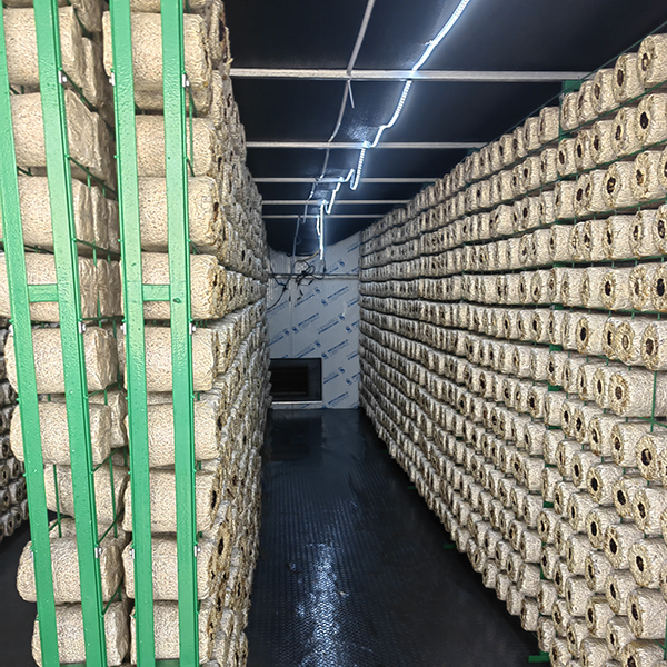 Single Span Greenhouse 20ft Agricultural Greenhouse For Mushroom Cultivation