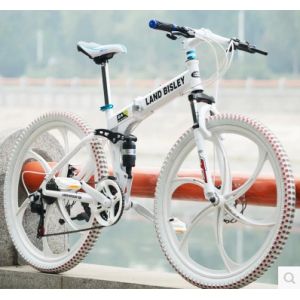 China Mountain bike bike skidoos wholesale