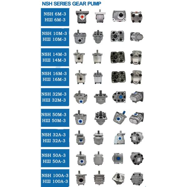 MTZ Belarus Tractor Spare Parts Gear Pump Gear Pump NSH16 NSH32 NSH40 NSH50 NSH100 Tractor Asphalt Paver Hydraulic Pump NSH-100-M NSH-50-M NSH-40-M