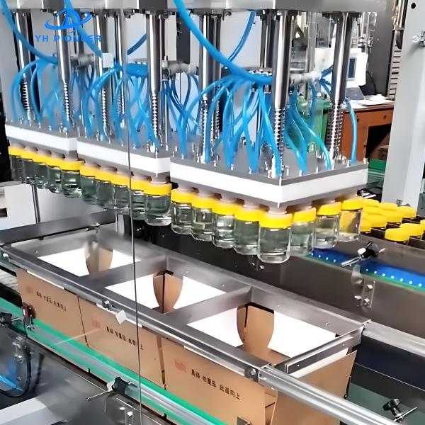 Glass Bottle Honey Carton Packing Machine with Stainless Steel Construction for Diverse Packaging Needs