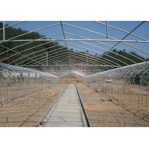 Film Surface Material Multi-Span Agricultural Greenhouses IGreen Greenhouse