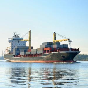China Professional Logistics Service Ddp Shipping Service To Canada wholesale