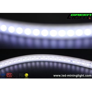 China SMD5050 IP68 LED Flexible Strip Lights 170VAC Silicone wholesale