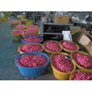 Wenzhou Bonvan Stationery Co. LTD.