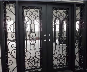 China Flat Top Wrought Iron Double Door With Side lights wholesale