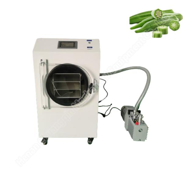 Commercial Use Freeze Dryer For Vegetables VC Powder Lyophilizer Machine