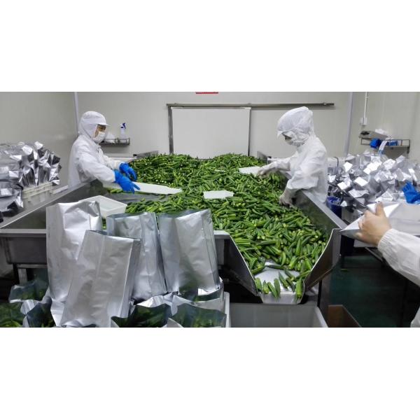 PLC Control Vegetable Chips Making Machine Vacuum Snacks Fryer 50kg-200kg