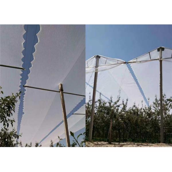 Agricultural Protection With UV Net Orchard Insect Mesh Netting And Anti hail For Apples Trees