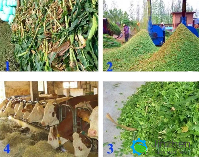 Wet And Dry Wheat Straw Alfalfa Hay Forage Chopper Hay Chaff Cutter For Cattle Feed