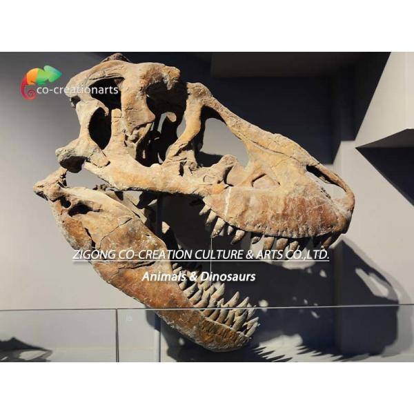 CE Realistic Artistic Dinosaur Skeleton Replica T Rex Skeleton Head High simulation