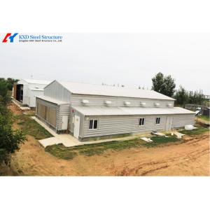 China Large Steel Structure Poultry Birds Chicken Farming Breeder Shed Building wholesale