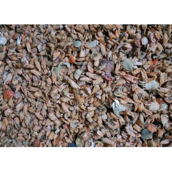 Shrimp Belt Tea Colour Sorter Machine Seafood Shrimp Separate Machine