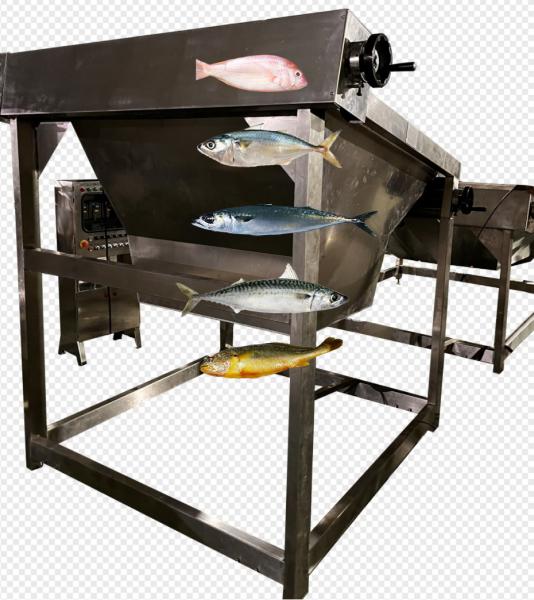 Quality Four Styles Automatic Fish Sorting Line And Sizing Mackerel Line With 5-10T/H for sale