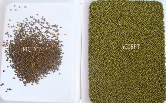 Wenyao Mung Bean Color Sorting Machine Intelligent Beans Color Sorter With Remote Control