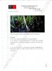 YANTAI BAGEASE COMPOSTABLE BAGS & PRODUCTS CO.,LTD. Certifications